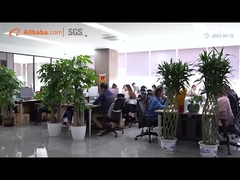 Introducción de la compañía